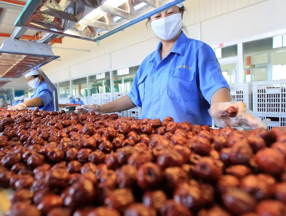 拼出脱贫致富路 一家红枣合作社的农副产品创业记