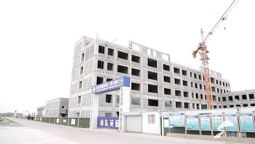 平原县 聚焦绿色化工与农副产品精深加工，双轮驱动冲刺百亿产值新高地