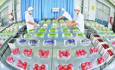 就业饭碗端得牢牢的 | 农副产品助力幸福生活