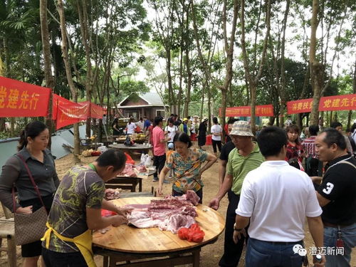 海南消费扶贫销量榜发布 澄迈位列第三，农副产品贡献突出