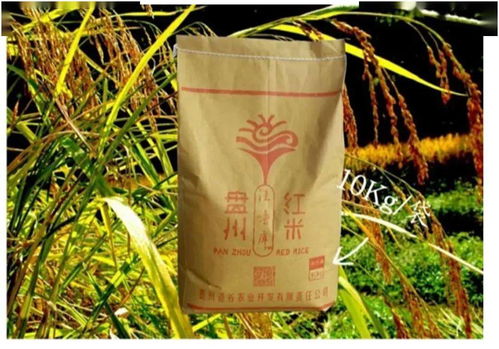 盘州农副产品，码上买，便捷直达餐桌