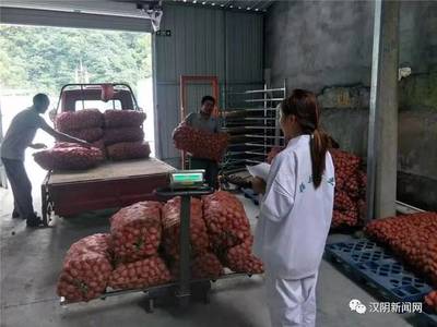 镇园联盟+电商联盟 汉阴农副产品鼓起村民“钱袋子”的双引擎