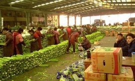 杭州农副产品物流中心 华东农副产品流通的枢纽与标杆